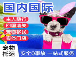 凯里黄平机场快运国际宠物托运 【国